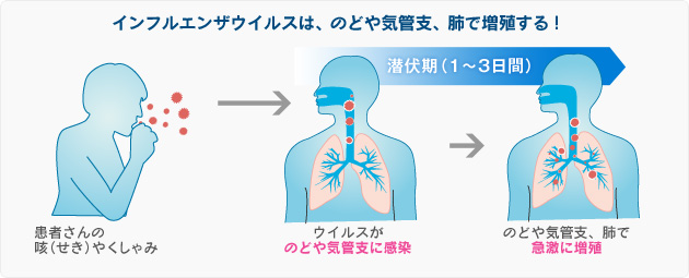 インフルエンザとは インフルエンザウィルス 流行時期 感染経路 インフル ニュース