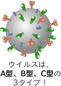 インフルエンザの種類